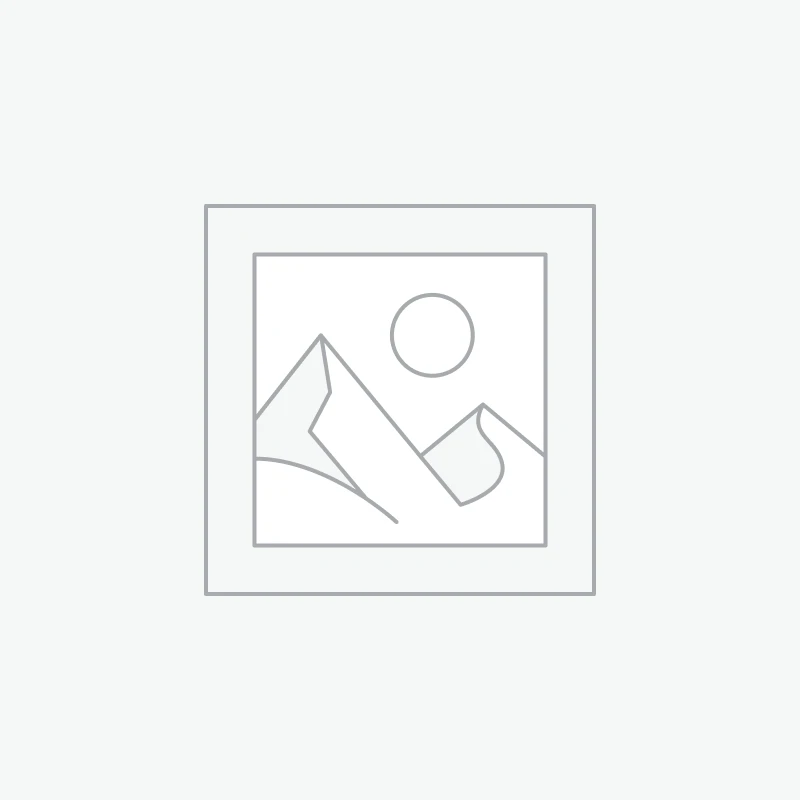 BRUSH CARE & ACCESSORIES