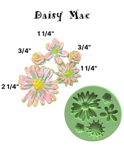 DAISY MAE