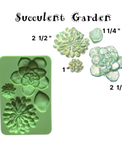 SUCCULENT GARDEN
