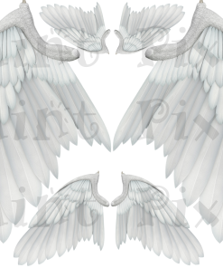 WINGS OF AN ANGEL 18"X14"